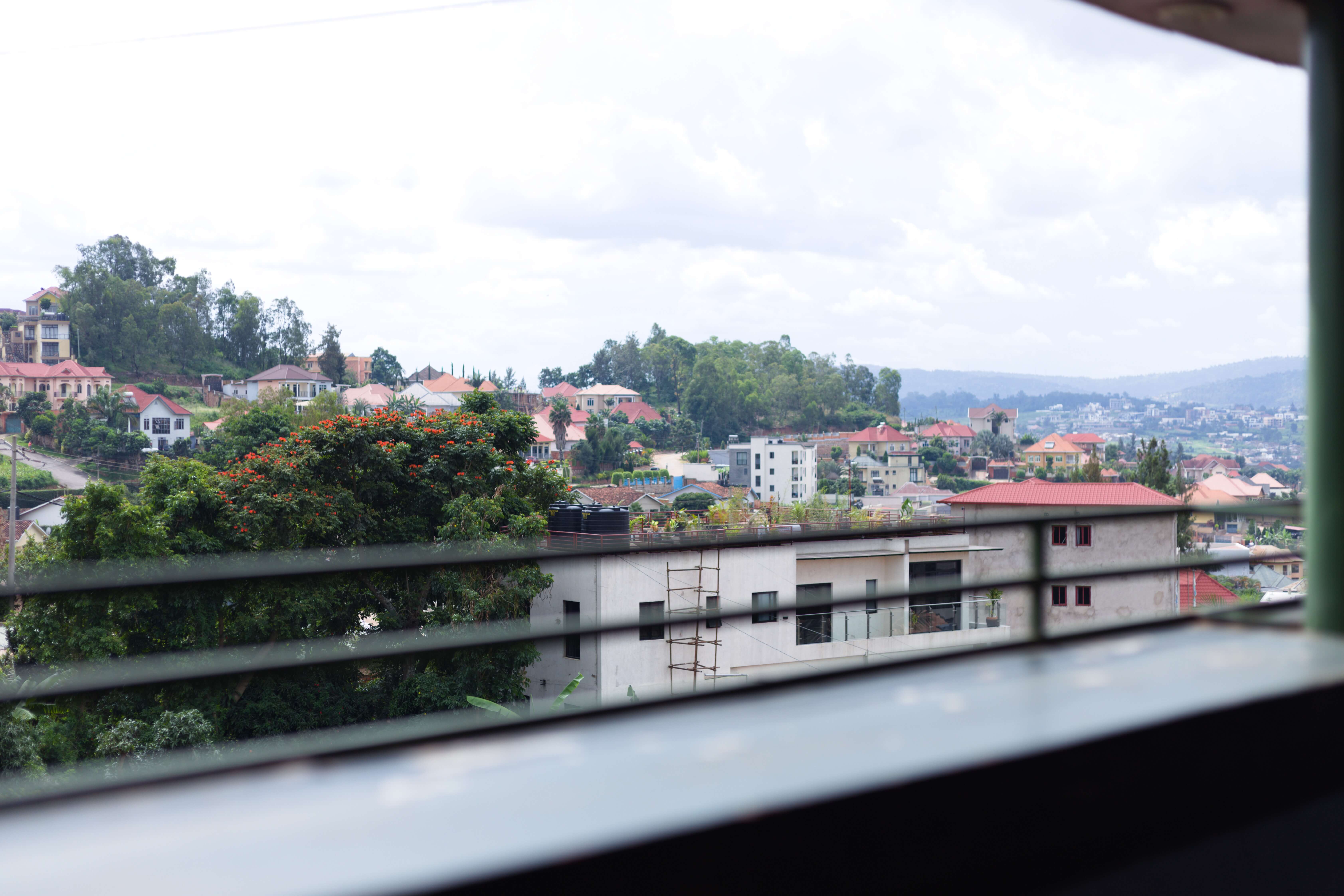 Morning views from the hotel